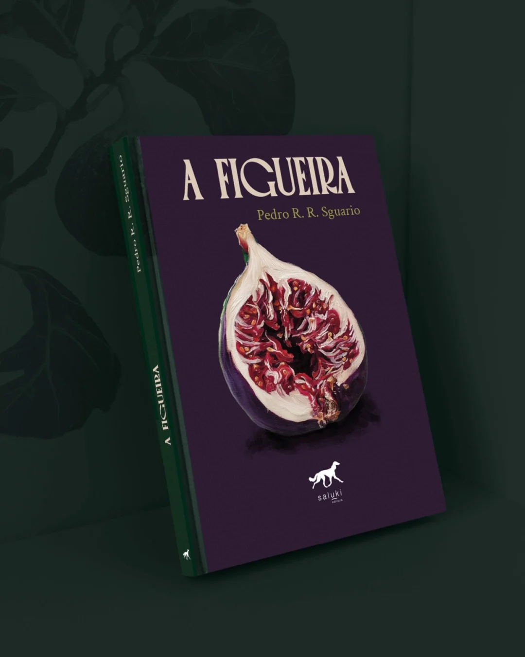 Imagem de destaque - Estudante de medicina estreia na literatura com romance sobre saúde mental