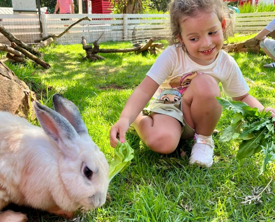 Imagem de destaque - Após alta adesão, Eco Park Foz estende ação solidária com ingresso a R$ 15 mediante doação de leite