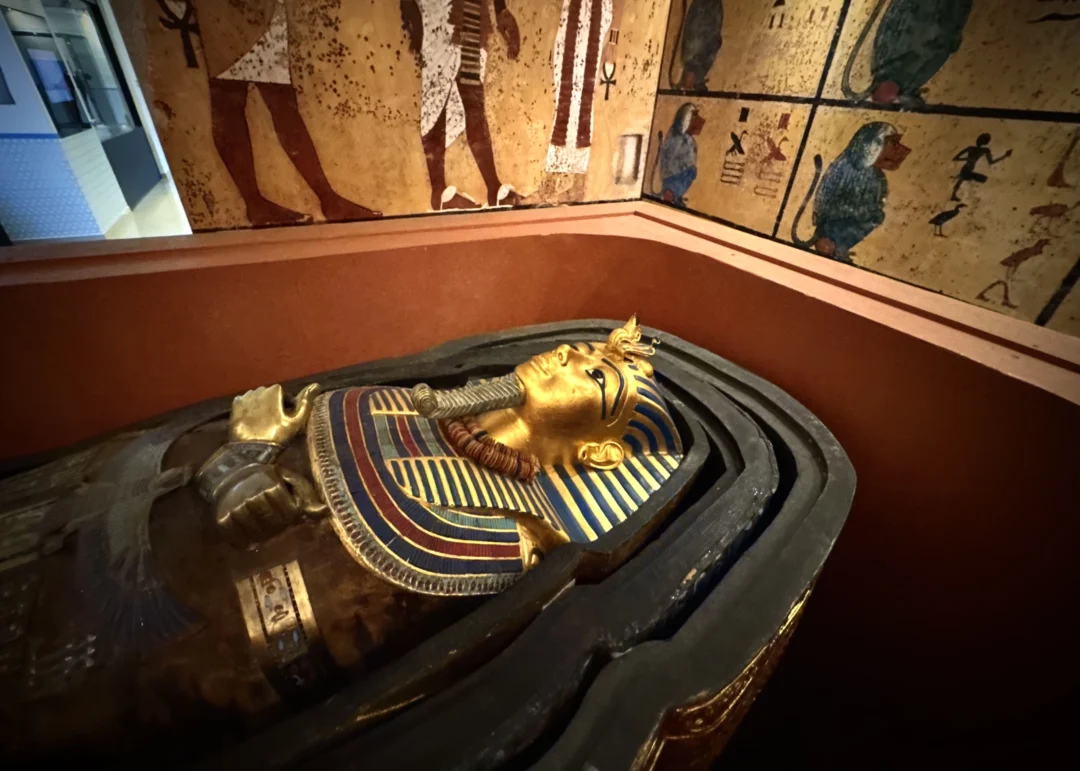 Imagem de destaque - Quer conhecer o Egito Antigo? Museu em Curitiba promove imersão com estreia de “Maldição da Múmia”