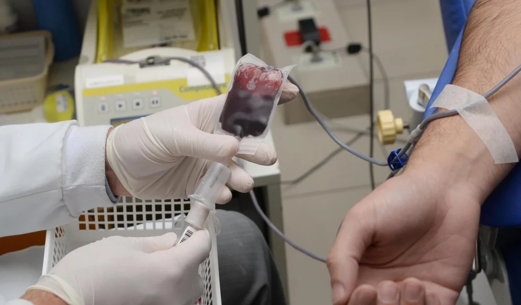 Imagem de destaque - O poder da solidariedade: como universitários de Curitiba estão impulsionando a doação de sangue