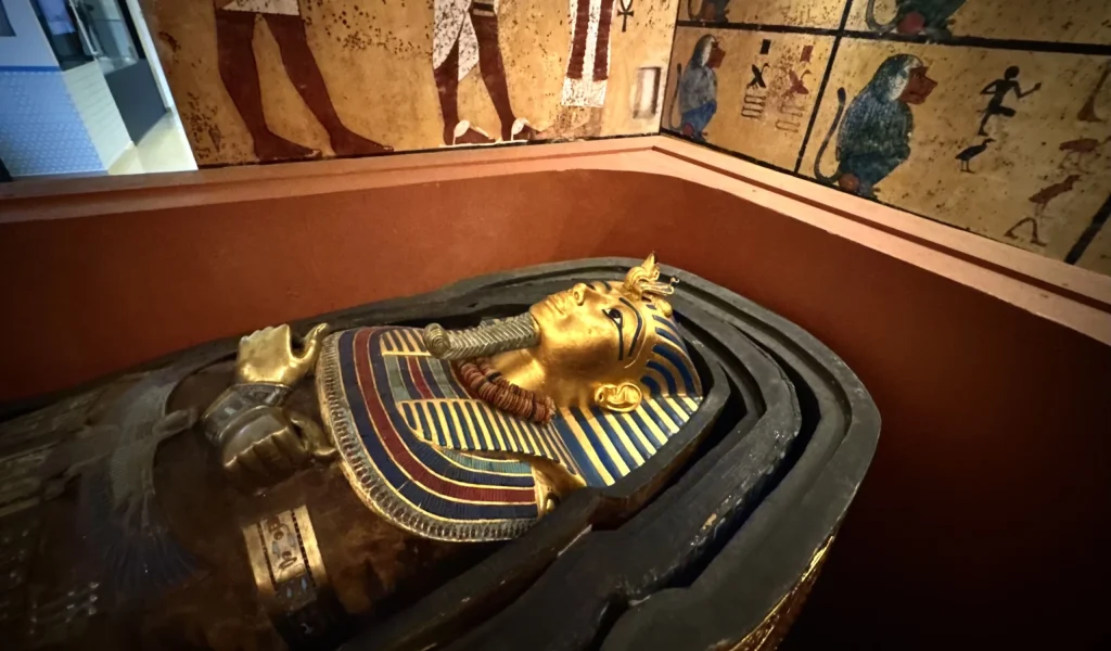 Imagem de destaque - Quer conhecer o Egito Antigo? Museu em Curitiba promove imersão com estreia de “Maldição da Múmia”