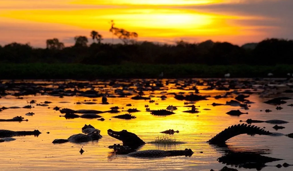 Imagem de destaque - Literatura que se percorre: destinos brasileiros eternizados em livros que inspiram viagens