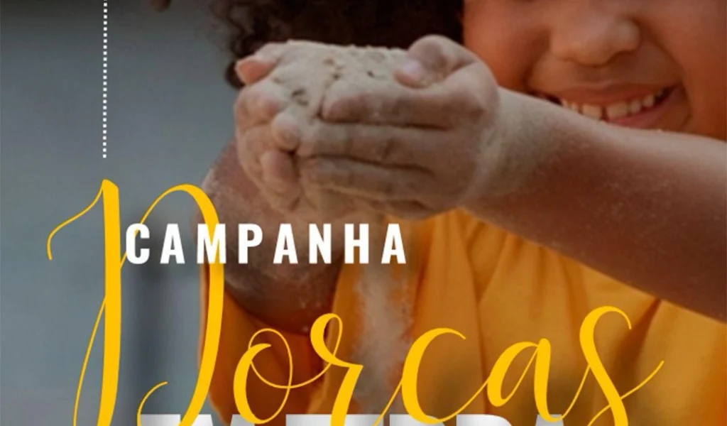 Imagem de destaque - Projeto Dorcas conquista novo terreno e pede ajuda para custeio