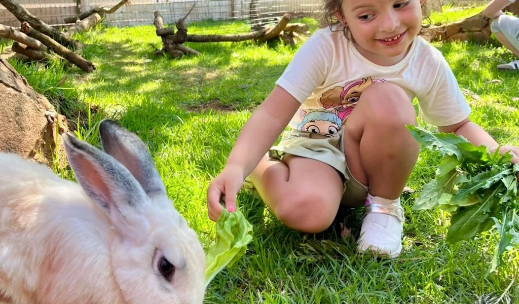 Imagem de destaque - Após alta adesão, Eco Park Foz estende ação solidária com ingresso a R$ 15 mediante doação de leite