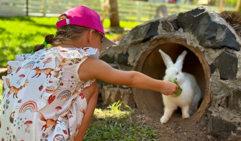 Imagem de destaque - Concurso de fantasias de animais e dia de cuidador movimentam o Dia das Crianças no Zoo Park Foz