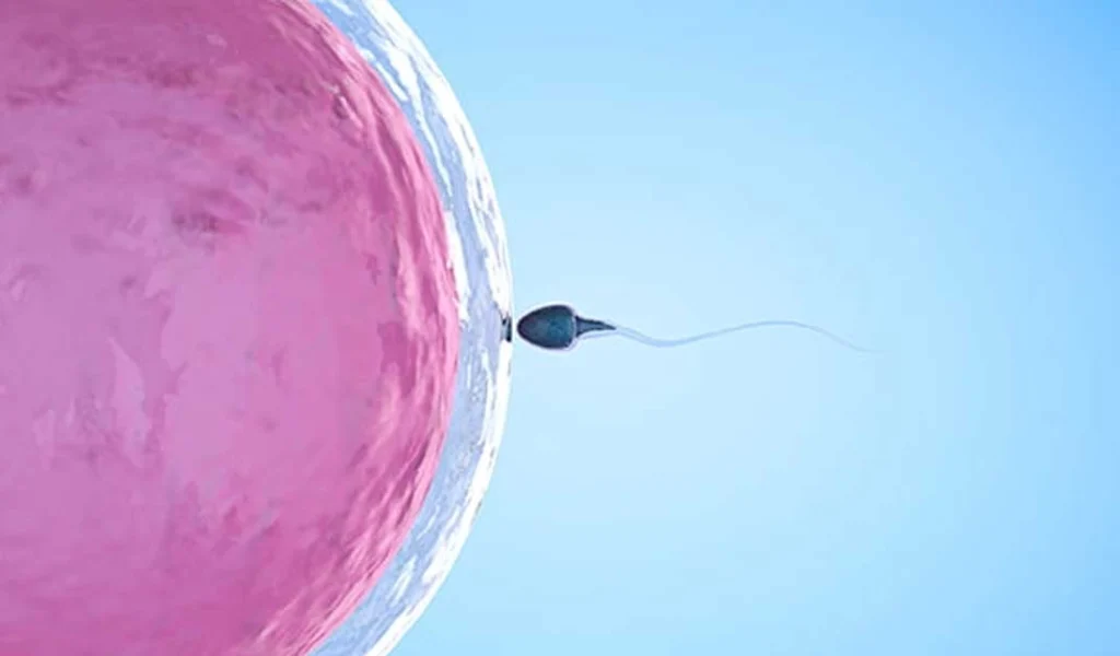 Imagem de destaque - 2025 com soluções médicas para casais que sonham em ter filhos